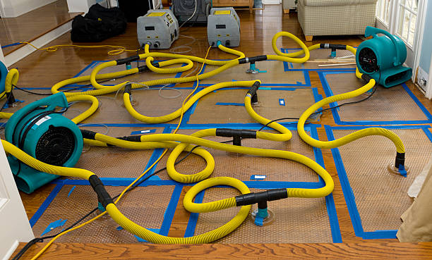 Professional Crawl Space Water Removal technician working in Grayling, MI